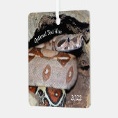 レッドテールボア収縮ヘビ メタルオーナメント (正面左)