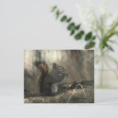 レッドテールリス01 ポストカード (スタンド正面)