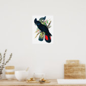 レッドテール、ブラック(バンシアン)コカトオ。 ポスター (キッチン)