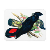 レッドテール、ブラック（バンシアン）コカトオ。 マグネット (横)