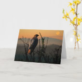 レッドテールHawk 5x7グリーティングカード カード (黄色い花)