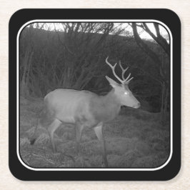 レッドディアスタグアットデュスク紙コースター スクエアペーパーコースター