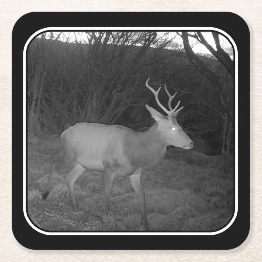 レッドディアスタグアットデュスク紙コースター スクエアペーパーコースター (正面)