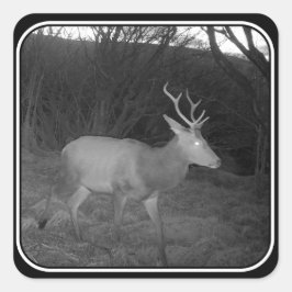 レッドディアスタグアットデュスク スクエアシール