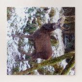 レッドディアスタグインザスノージグソーパズル ジグソーパズル (横)