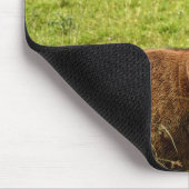 レッドディアスタッグ マウスパッド (コーナー)