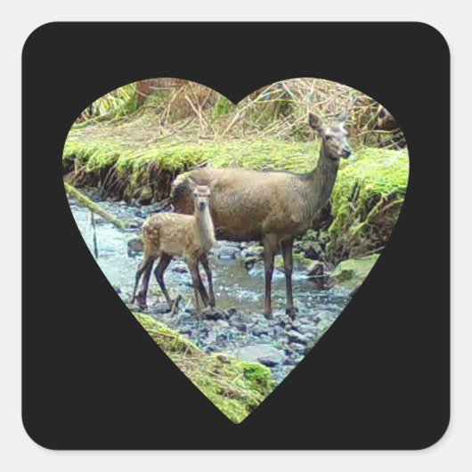 レッドディアドーとベビーディアー スクエアシール (正面)