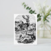 レッドディアーヴィンテージウッド版木、銅版、版画 ポストカード (スタンド正面)