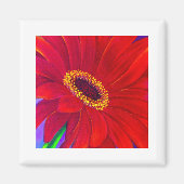 レッドデイジーガーベラ絵を描フラワーズアート数々の- マグネット (正面)