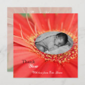 レッドデイジーフラワーチャイルドありがとうベビー発表 招待状 (正面/裏面)