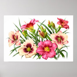 レッドデイライスボタニカルアートプリント ポスター