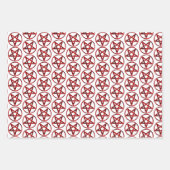 レッドデビルペンタグラム ラッピングペーパーシート (正面3)