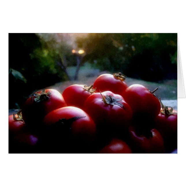 レッドトマト (正面横)