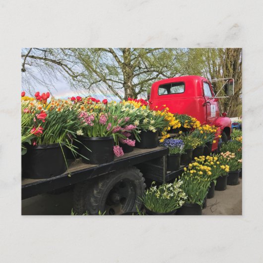 レッドトラックと春の花と虹 ポストカード (正面)