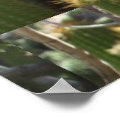 レッドトーチサボテン ポスター (角)