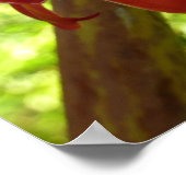 レッドトーチジンジャートロピカルフラワー写真 ポスター (角)