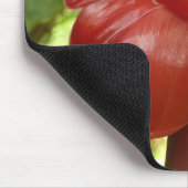 レッドトーチジンジャートロピカルフラワー写真 マウスパッド (コーナー)