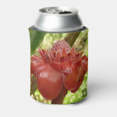 レッドトーチジンジャートロピカルフラワー写真 缶クーラー (缶裏面)