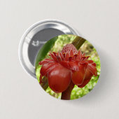 レッドトーチジンジャートロピカルフラワー写真 缶バッジ (正面&裏面)