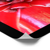 レッドトーチジンジャーヘリコニアフラワーポスター ポスター (角)