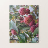 レッドドッグウッドフルーツ自然 ジグソーパズル (縦)