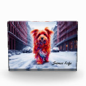 レッドドッグ歩くダウン雪の冬の通り フォトブロック (正面)