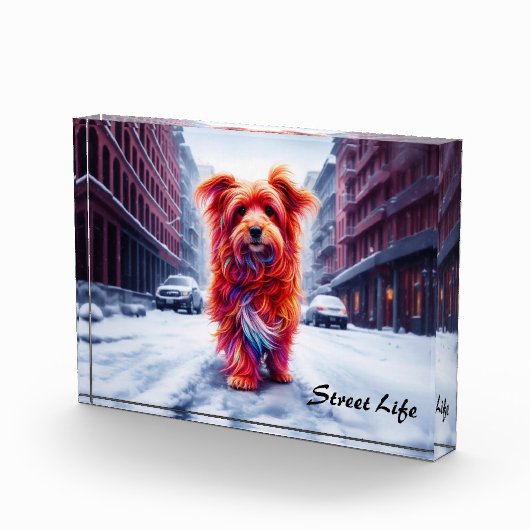 レッドドッグ歩くダウン雪の冬の通り フォトブロック (右)