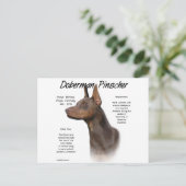 レッドドバーマンの歴史 ポストカード (スタンド正面)