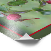 レッドドラゴンフライオンドウッドフルーツ抽象芸術8x10 フォトプリント (角)