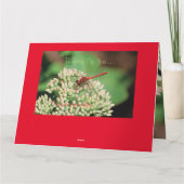 レッドドラゴンフライノーテカード カード (裏面)