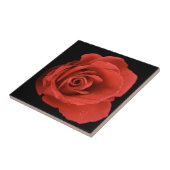 レッドドラマバラ タイル (側面)