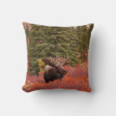 レッドドワーフに立つブルムース樺の木 クッション (正面)