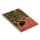 レッドドワーフに立つブルムース樺の木 ノートブック (右側)