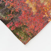 レッドドワーフに立つブルムース樺の木 フリースブランケット (角)