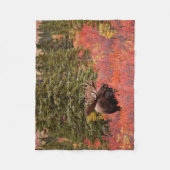 レッドドワーフに立つブルムース樺の木 フリースブランケット (正面)