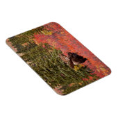 レッドドワーフに立つブルムース樺の木 マグネット (右側)