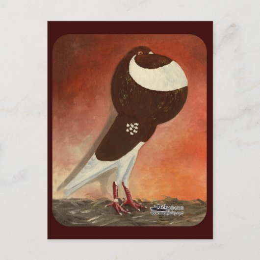 レッドノーウィッチクロッパーピジョン ポストカード (正面)