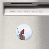 レッドノーザン（鳥）ショウジョウコウカンチョウが木製の柱に座っている マグネット (インサイチュ (食洗機))