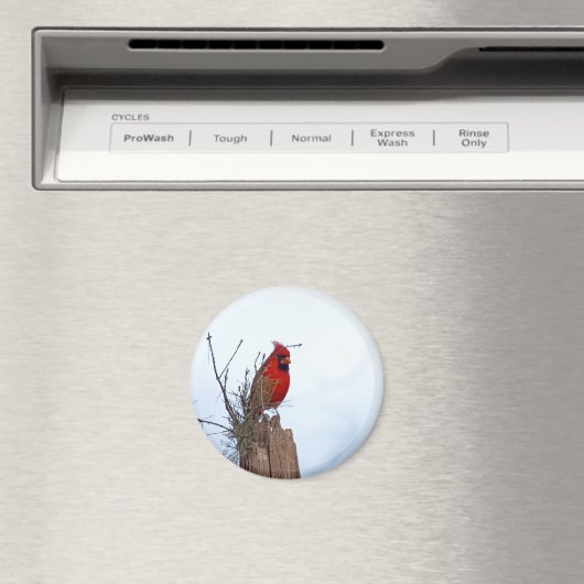 レッドノーザン（鳥）ショウジョウコウカンチョウが木製の柱に座っている マグネット (インサイチュ (食洗機))