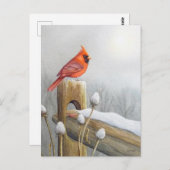 レッドノーザン（鳥）ショウジョウコウカンチョウバードオンフェンスウォーター色アート ポストカード (正面/裏面)