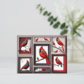 レッドノーザン（鳥）ショウジョウコウカンチョウバードハガキ ポストカード (スタンド正面)