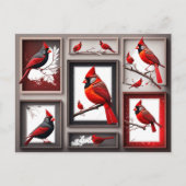 レッドノーザン（鳥）ショウジョウコウカンチョウバードハガキ ポストカード (正面)
