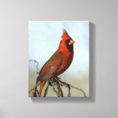 レッドノーザン（鳥）ショウジョウコウカンチョウ キャンバスプリント (正面)