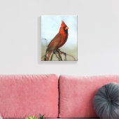 レッドノーザン（鳥）ショウジョウコウカンチョウ キャンバスプリント (インサイチュ (リビング))