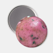 レッドノーランドジャガイモ マグネット (正面/裏面)