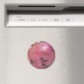 レッドノーランドジャガイモ マグネット (インサイチュ (食洗機))