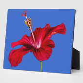 レッドハイビスカスフラワーサイドビュー フォトプラーク (側面)