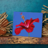 レッドハイビスカスフラワーサイドビュー フォトプラーク (側面)