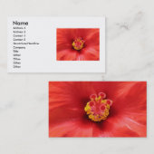 レッドハイビスカス名刺 名刺 (正面/裏面)