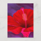 レッドハイビスカス絵画トロピカルフラワー数々の- ポストカード (正面)